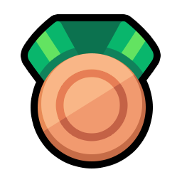 Bronze medal