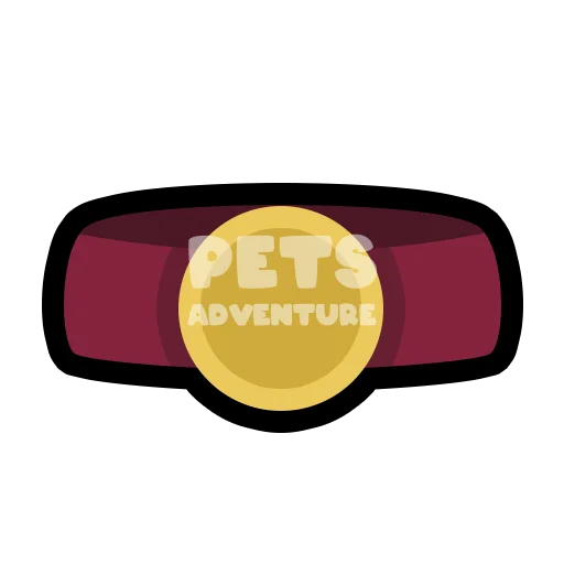 Fighter's Belt