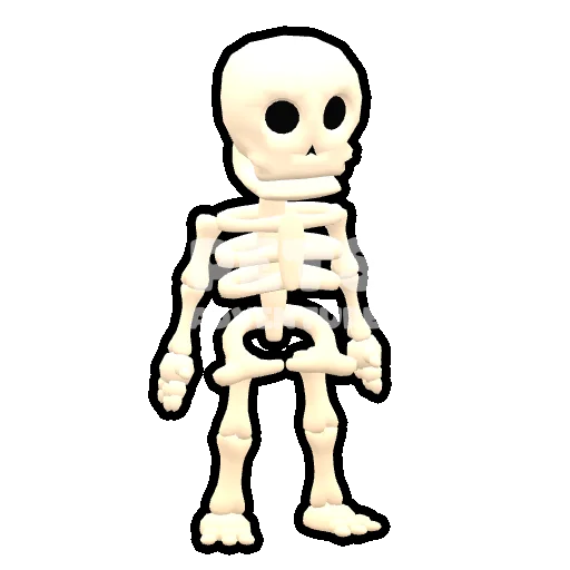 Skeleton