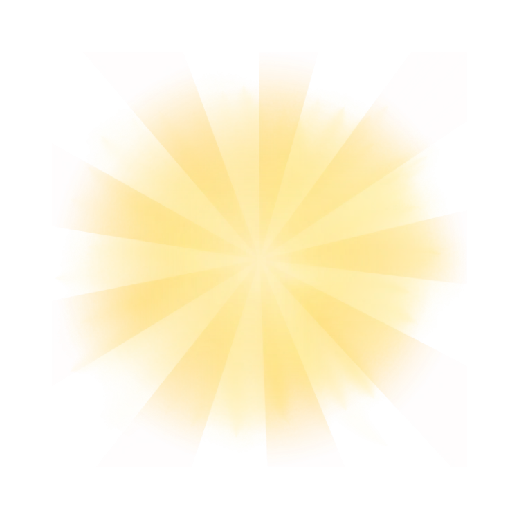 Sunny