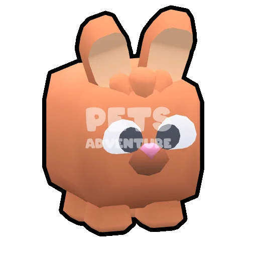 Bunny